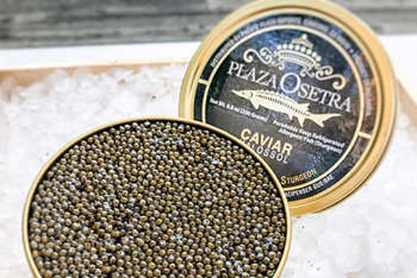 Plaza Osetra Gold Caviar