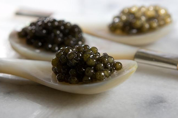 three spoons with caviar